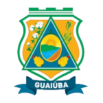 Seleção de Guaiuba